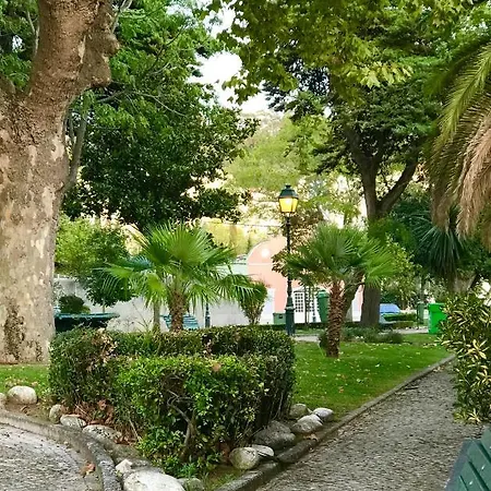 Homestay Fleur De Lis Belas