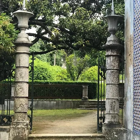 Fleur De Lis Belas