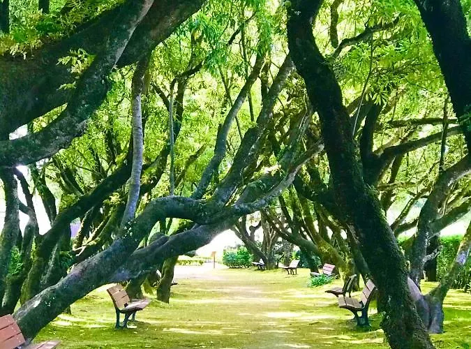 Fleur De Lis Privat bolig *