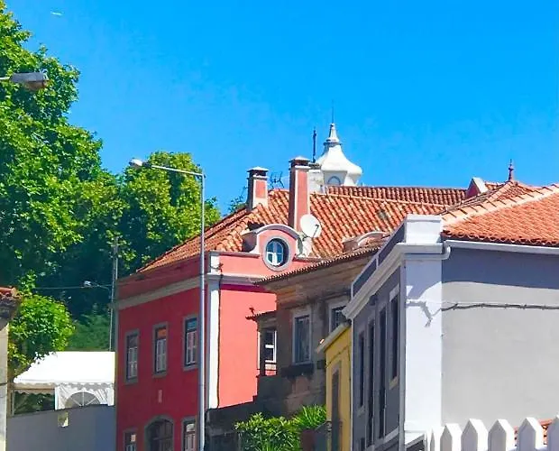 Fleur De Lis * Belas