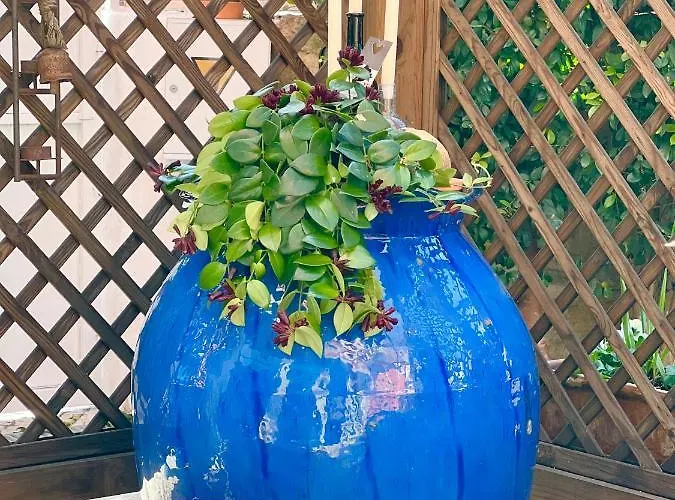 Fleur De Lis * Belas